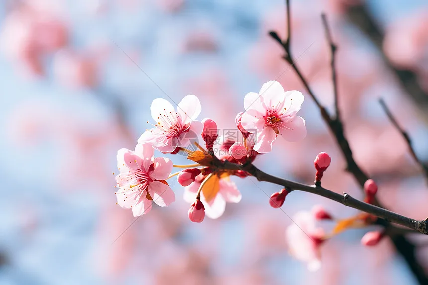 

Комплект колес и шин для радиоуправляемых краулеров 2,2 дюйма, для грузовиков масштаба 1/8, металлические диски с бедлоками и внедорожными шинами (4 шт.)