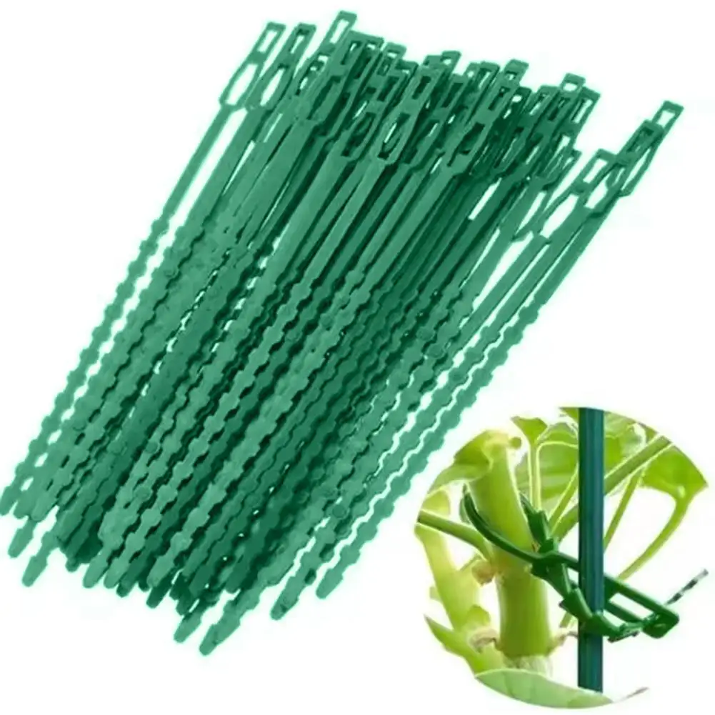 10-100pcs Adjustable Plastic Plant Cable Ties Reusable Cable Ties for Garden Tree Climbing Support Plant Vine Tomato Stem Clip
