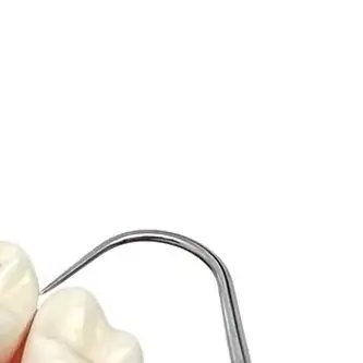 

Dental Stainless Steel Mouth Mirror Tweezers and Curved Probe Kit for Oral Cleaning Available in Black and Gold