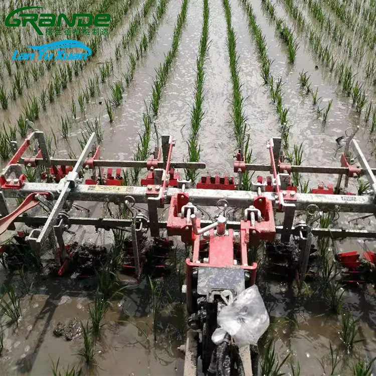 China Made Factory Direct Household Mini 6 Row Paddy Field Weeding Machine Mounted To Tractors