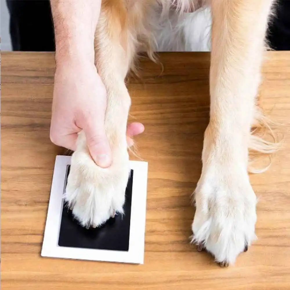 VVOCCI Pet Dog And Cat Paw Print Ink Set Pad Safe Non Toxic Baby Handprints Wash Free Easy Clean DIY Footprints Pet Souvenirs - view 2