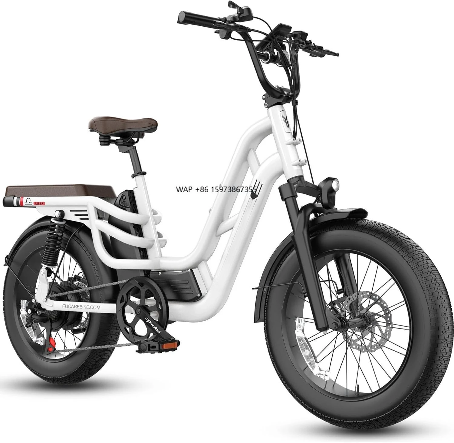 

20 Inch 48V 1200W Electric Bike Fat Bike Electric Road Bike City Electric Bicycle 750W Electric Bike