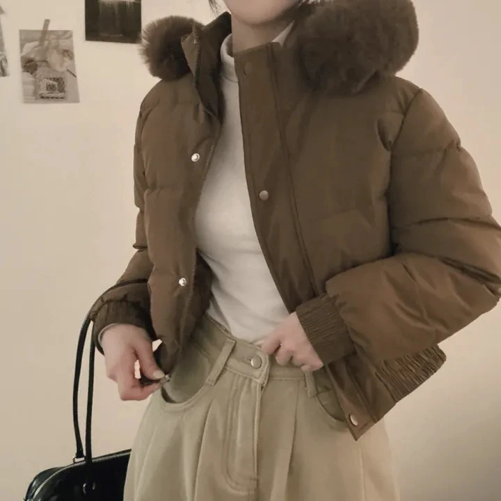 New Winter Warm Hooded Down Cotton Jacket Women Thickened Fleece Lining Big Fur Collar Long Sleeve Short Parkas Jacket Coat