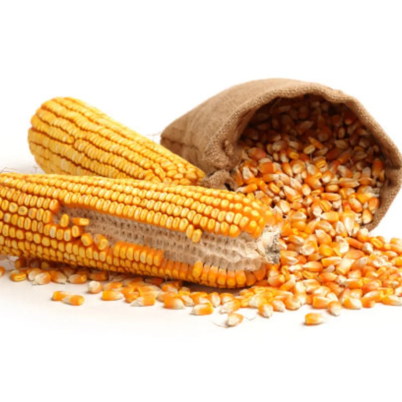 

Frame Girder Carbon Graphite Chassis Professionals Frame Rails for 1/10 Axial SCX10 RC Crawler Truck Off-road Car