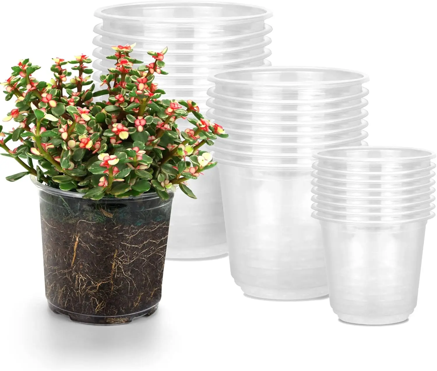 

6/5/3.5 Inch Clear Nursery Pots 24 Pack with Drainage Holes for Plants, Flexible Plastic Flower Pot Set