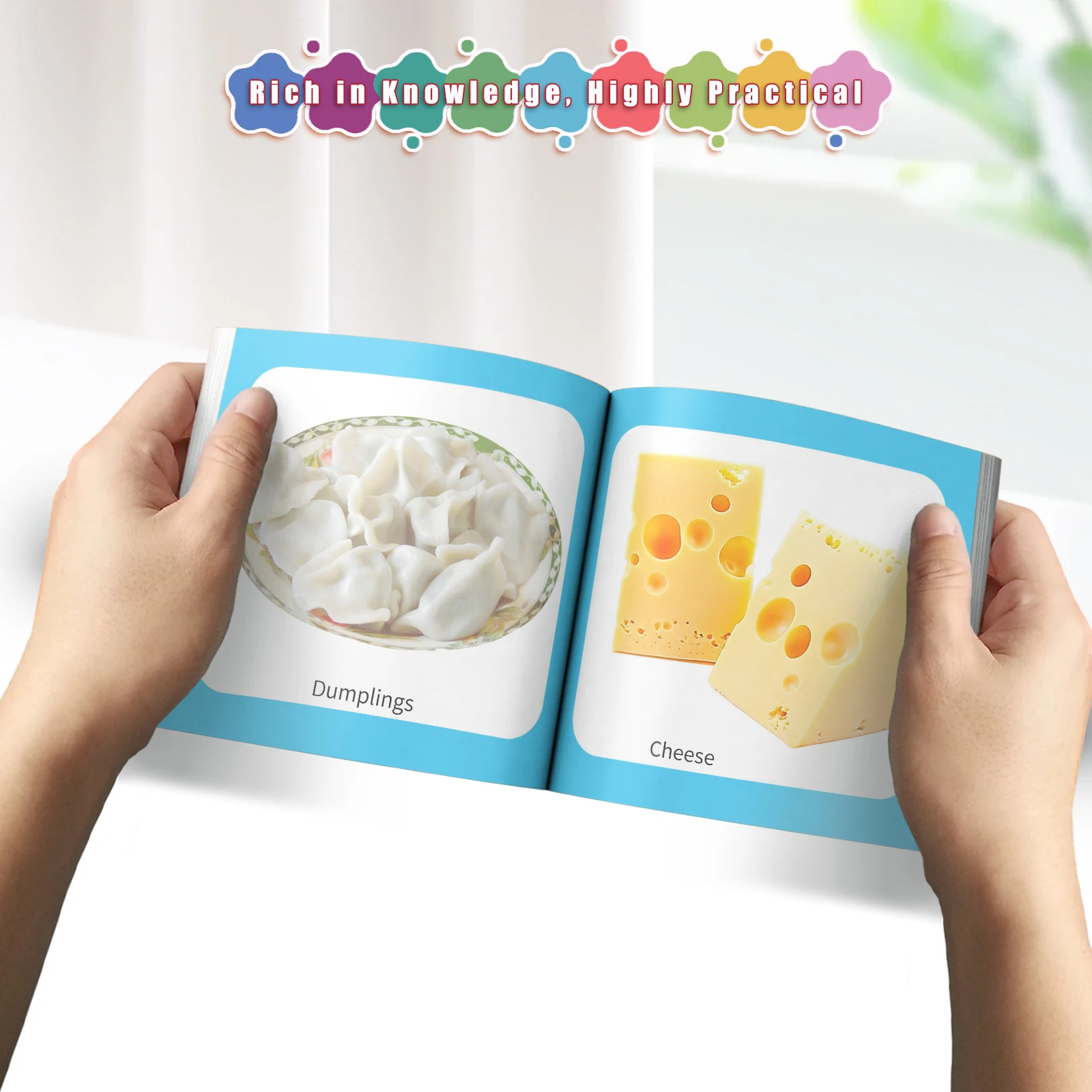 Card Books - Lively Knowledge Card Books for Early Learning, Visually Stimulating Educational Cards