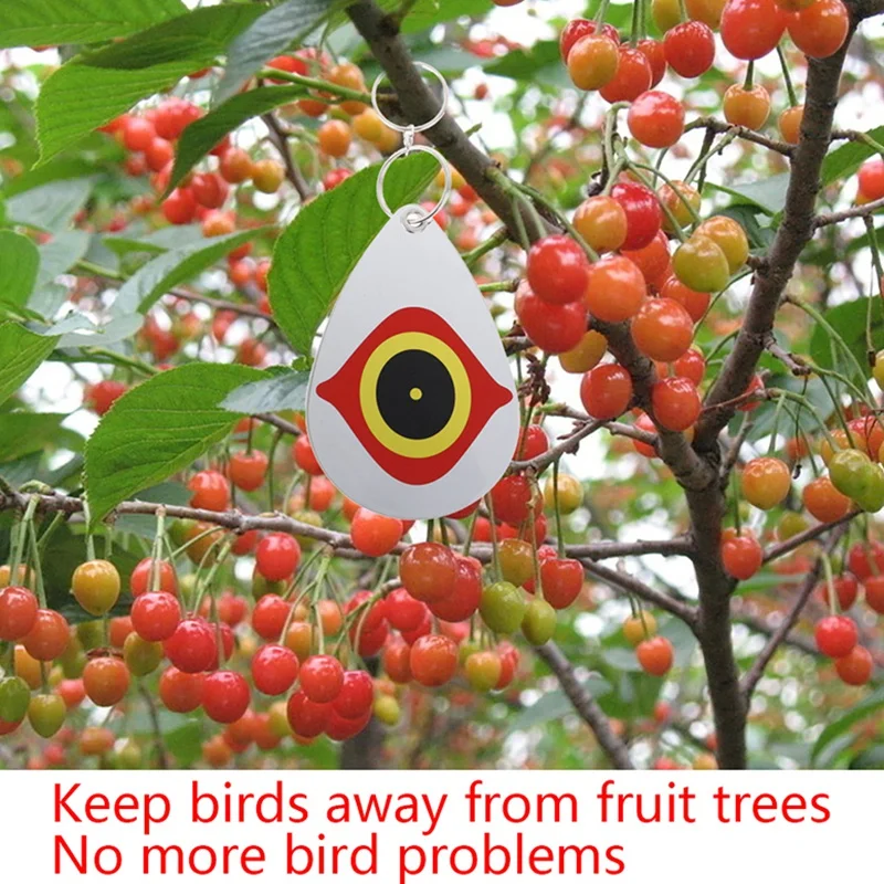 Retail 10Pcs/Set Bird Repellent Diverter Discs Scarer Eye Scare Birds Away Pest Deterrent