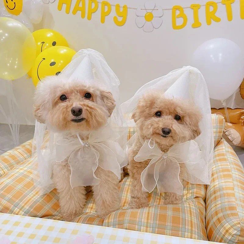 Birthday Party Dog Accessories Hat Jewelry Pet Wedding Hat Bow Saliva Towel Teddy Triangle Scarf Bow Pocket Bib Scarf Pomenian