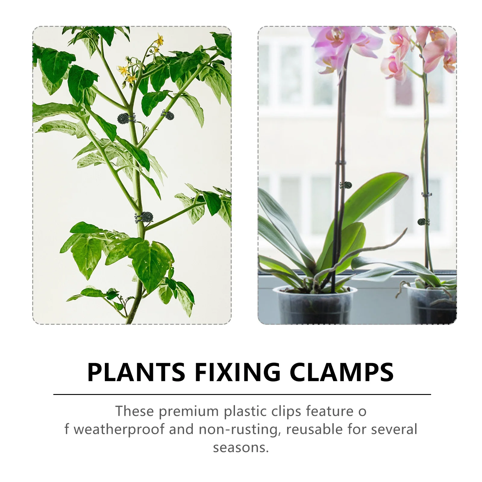 100pcs Plant Fixing Clips Garden Support Clamps For Tomatoes Cucumbers Peppers Greenhouse Gardening Clips Set Reusable Plastic