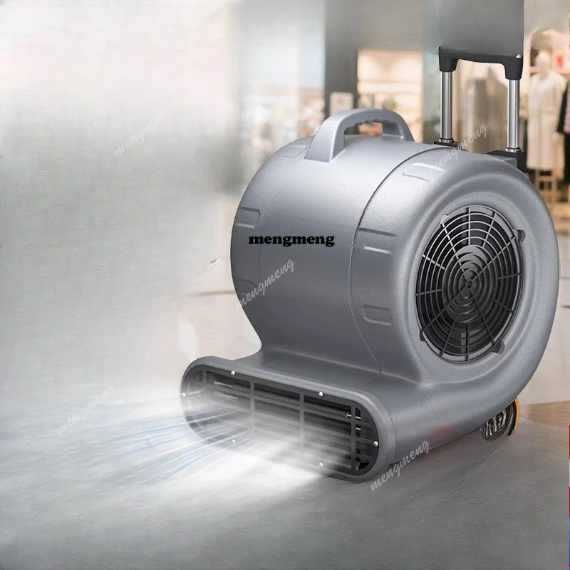 

Yangzi Blower Floor Dryer Commercial High Power Carpet Dehumidification Hair Dryer