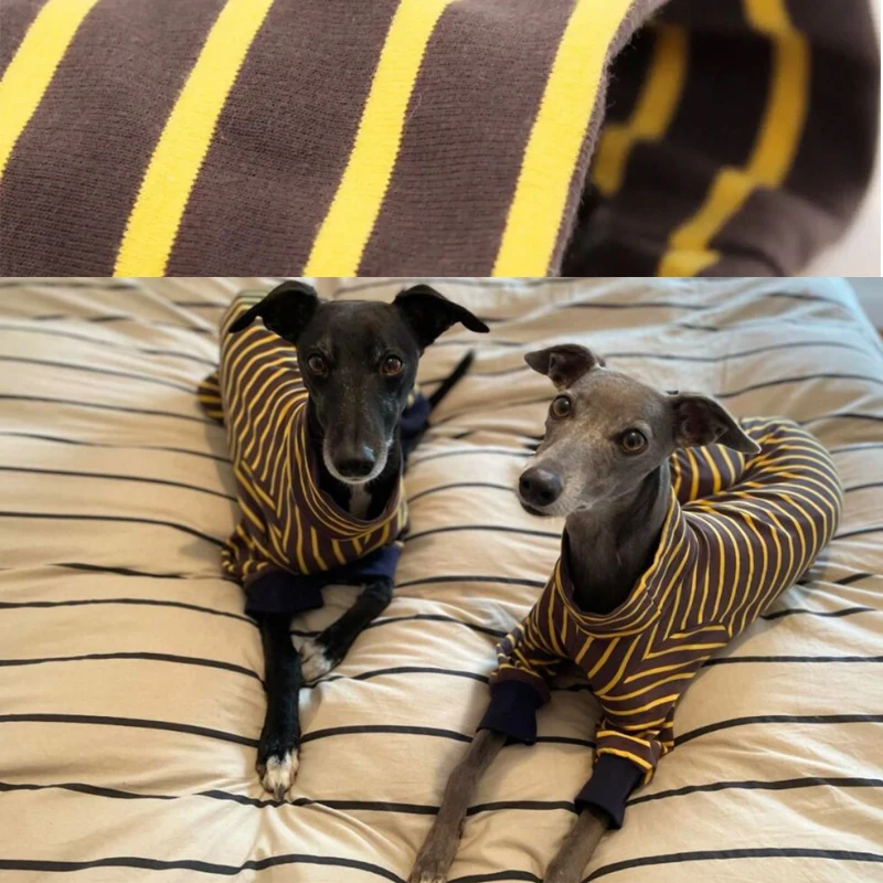 Thick Warm Italian Greyhound Striped Sweater Whippet Turtleneck Dog Clothes Stretch Soft Small Media Large Pet Clothing