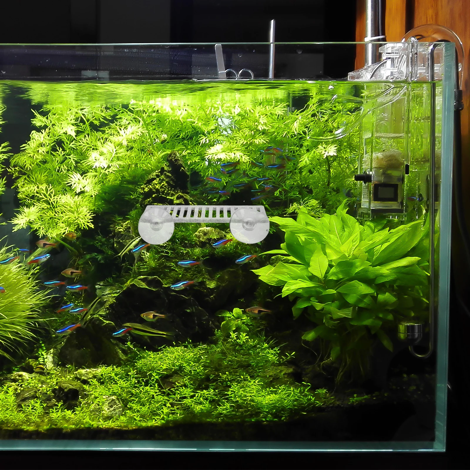 

Rest Bed Aquarium Décor Decor Betta Fish Accessory Tank Decorations Leaf Decorate Supplies Floating Abs Hideout
