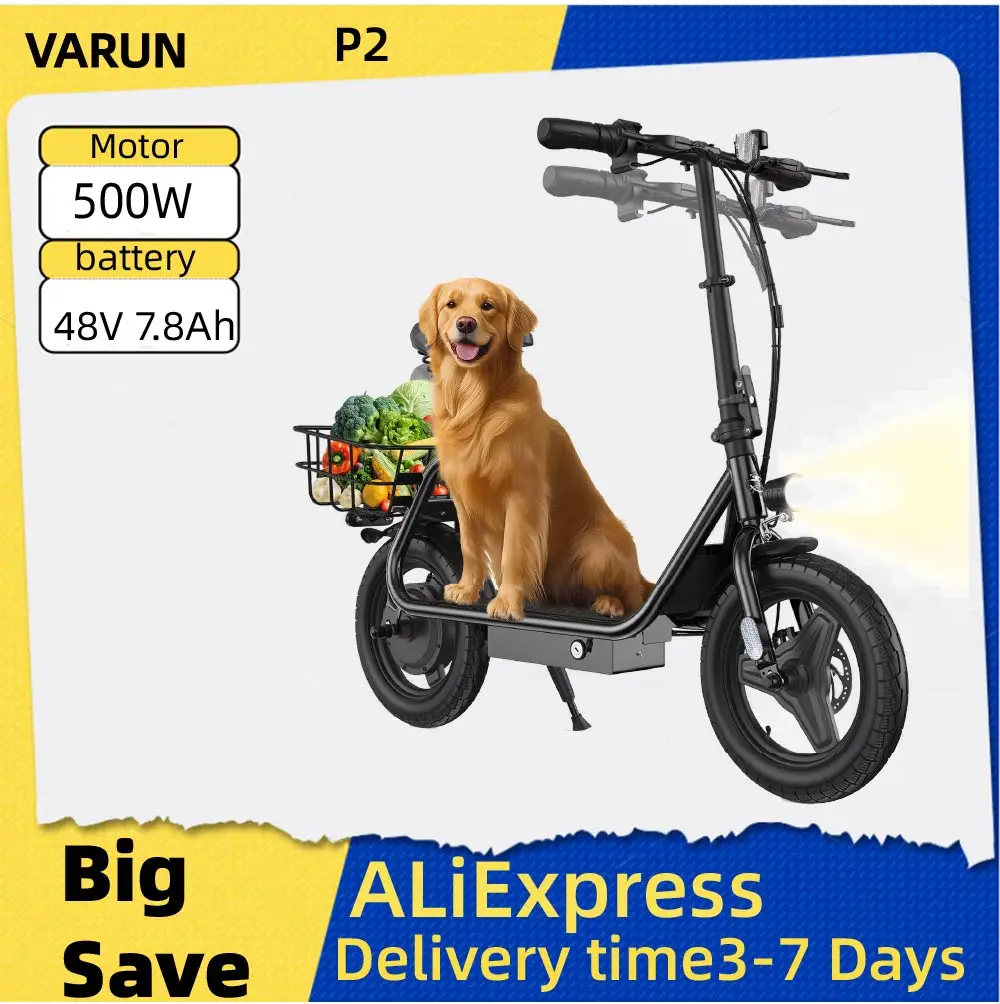 Varun P2 Adult Elec…