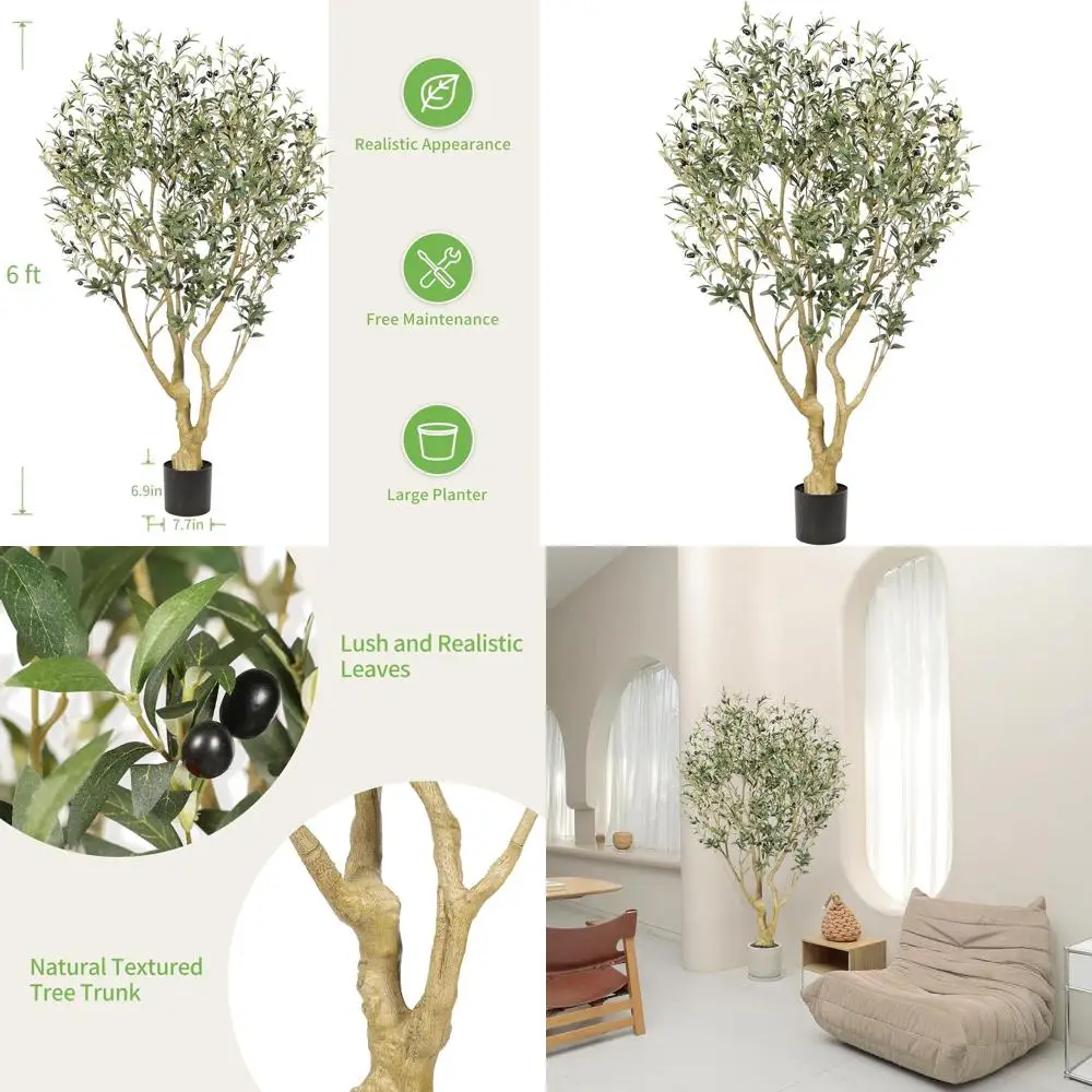 6T Olive Trees Arti…