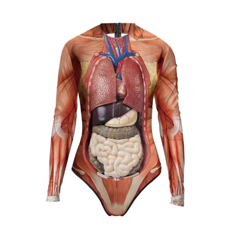 

Teach Human Body Structure Tissue 3D Printing Swimsuit Tops Human Torso Human Anatomical ModelMedical Science Teaching Equipment