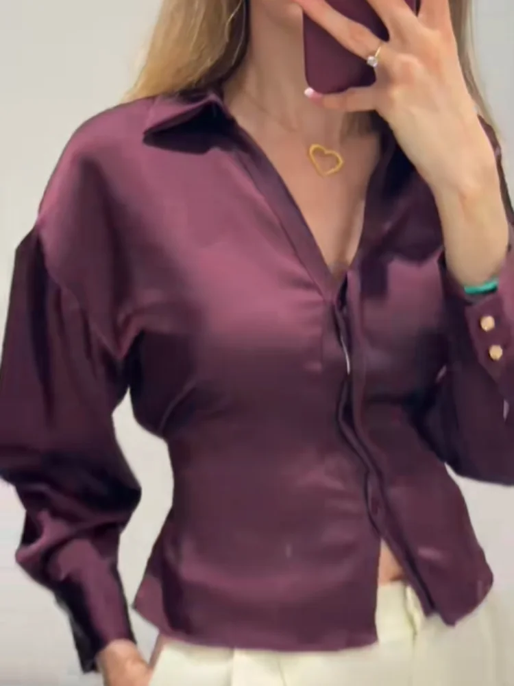 

Elegant Slim Fit Satin Shirt Lapel Long Sleeve Lace Up Top Vintage Casual Blouse Commuter Office Tops 2025 New Lady Clothings