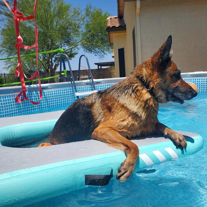 Rest floating platform, medium and large dog slope climbing ladder, floating mat, inflatable floating bed, dog board - view 2