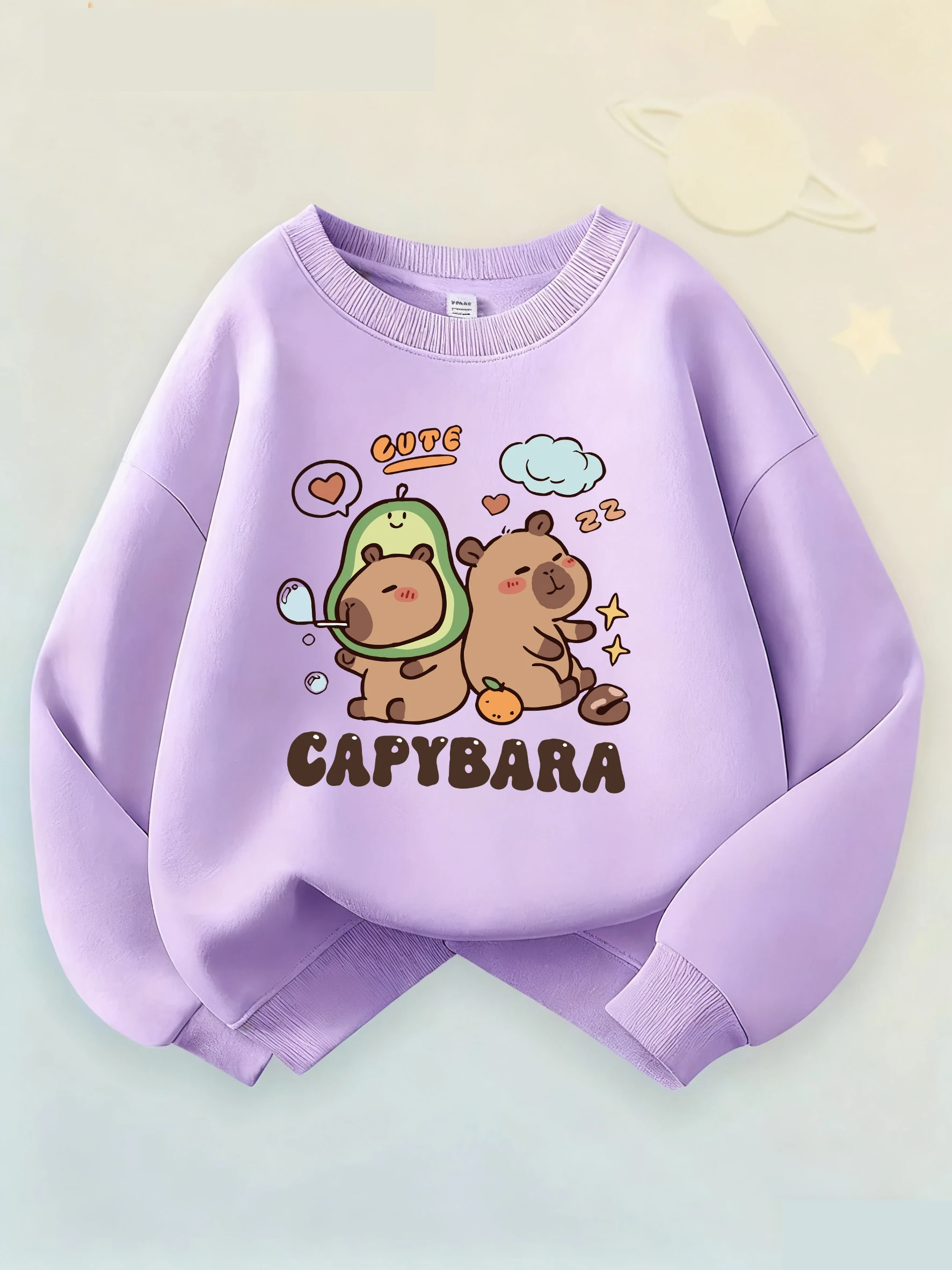 90s Y2k Unisex Crew Neck Kid Hoodie Capybara Hoodies Manga Kids Children's Sweatshirt Cute Capibara Hoody for Boys Girls