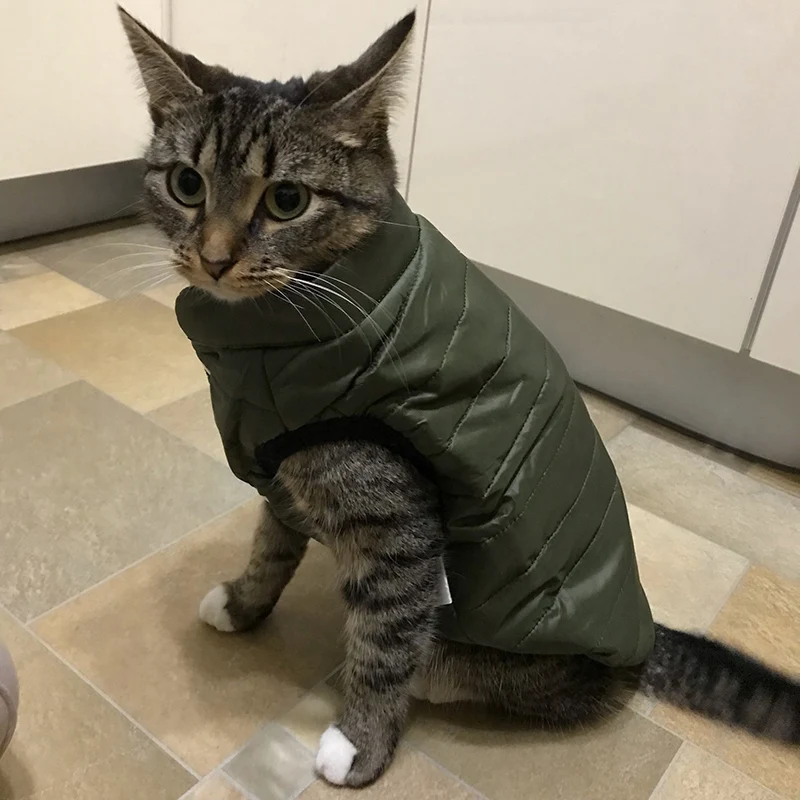 Winter-Downjacke für Hunde, winddicht, warm, Hundekleidung für kleine und mittelgroße Hunde, Katzen, Welpenmantel, Chihuahua, Shih Tzu, Kostüm, Yorkies – Detail 11