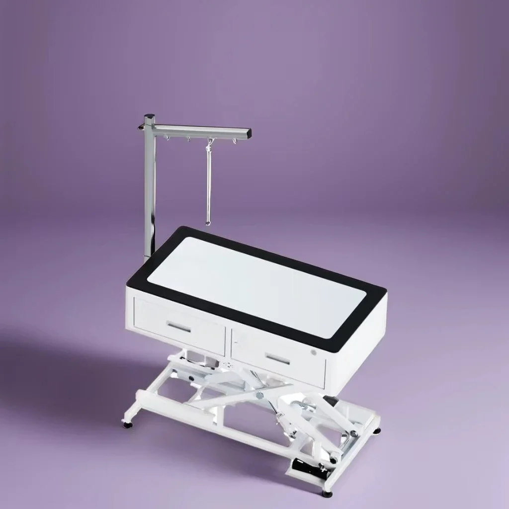 Electric Height Adjustable Pet Grooming Table with Iron Comb Eco-friendly Design Suitable for Dogs