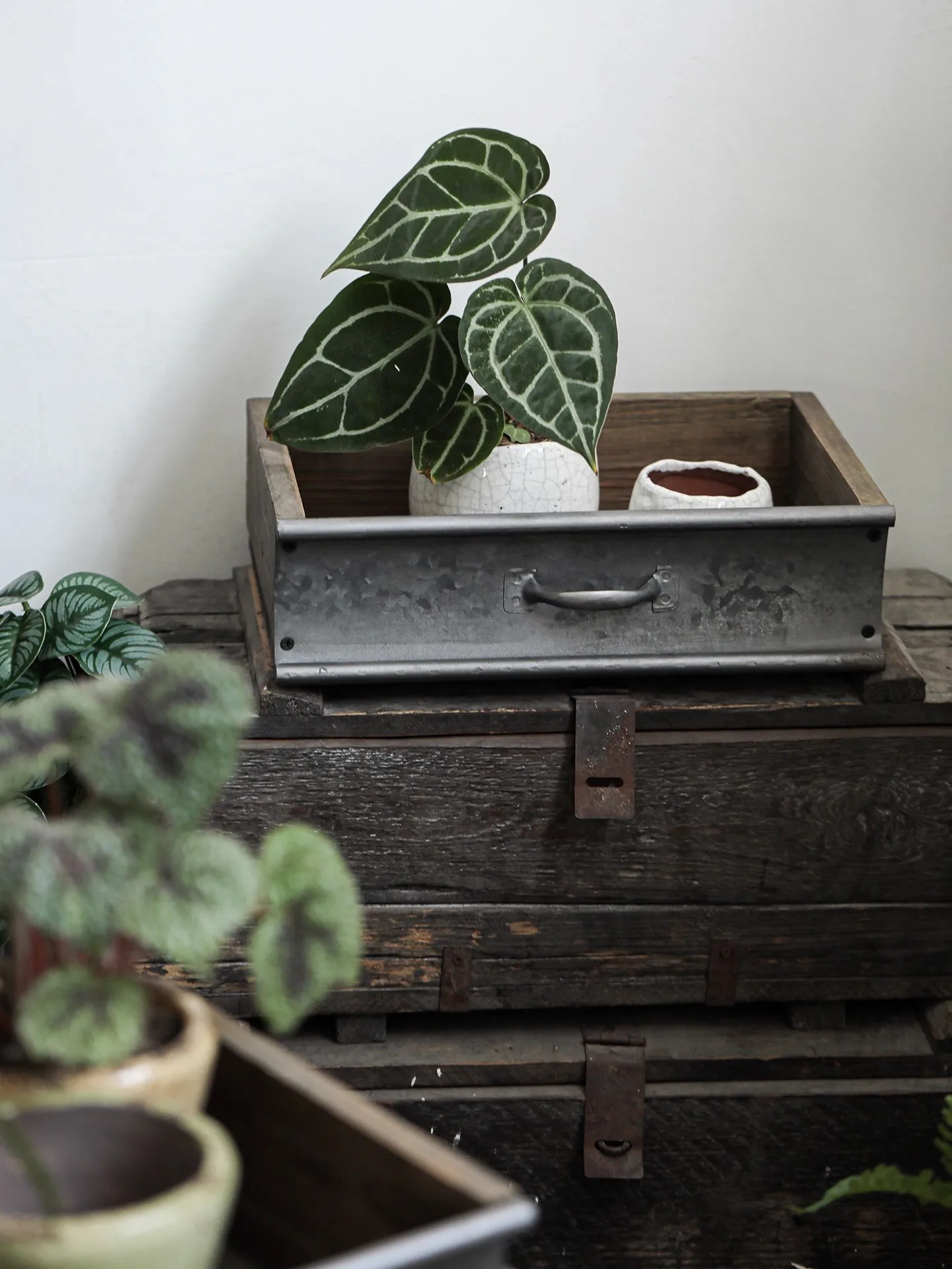 Vintage Style Wooden Tray Garden Tool Storage Box Planting Box Flower Pot Garden Decoration Solid Wood Tray for Home Garden