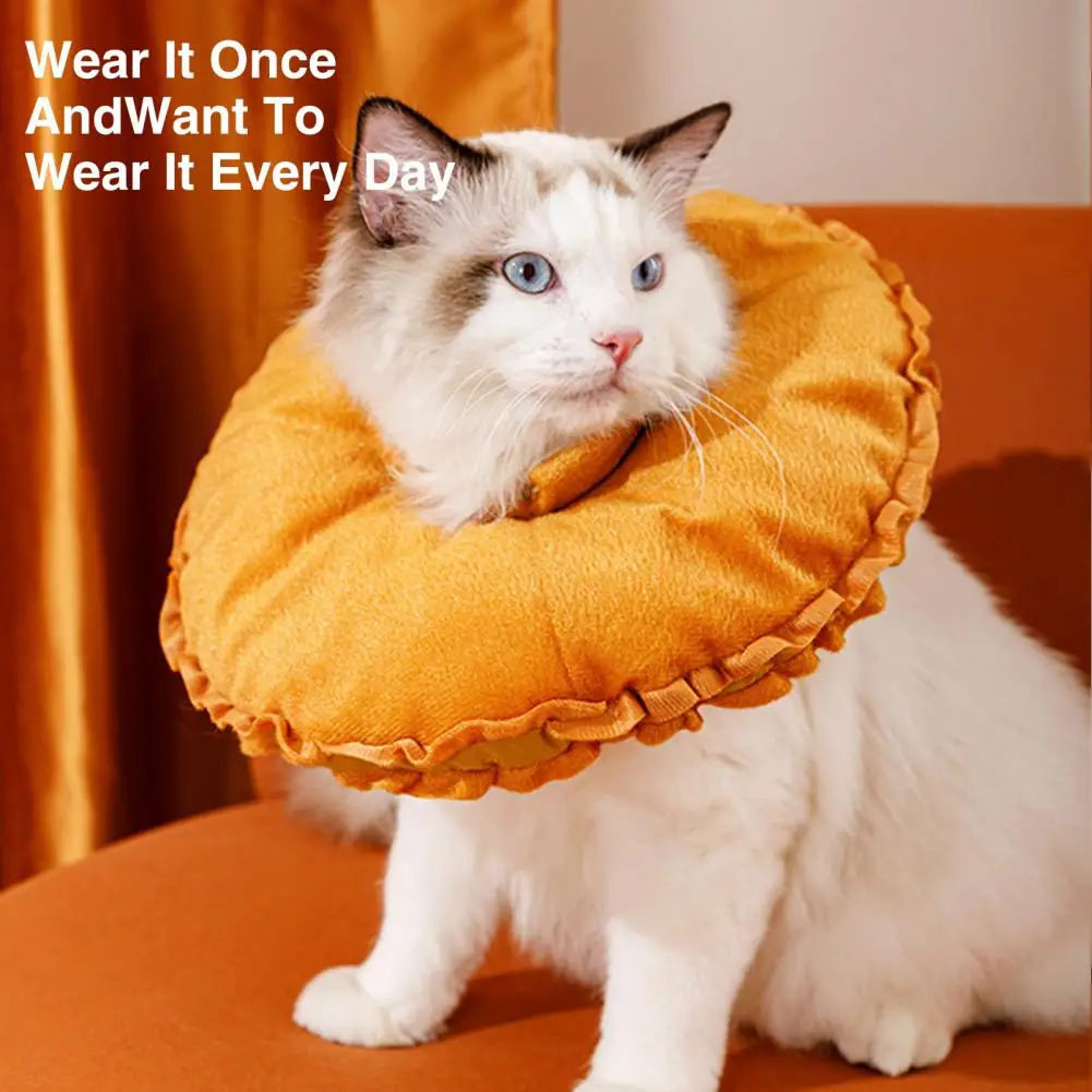 Cat Recovery Cone Super After Surgery Elizabethan Collars Anti licking Pet Surgery Wound Healing Collar Pet Supplies