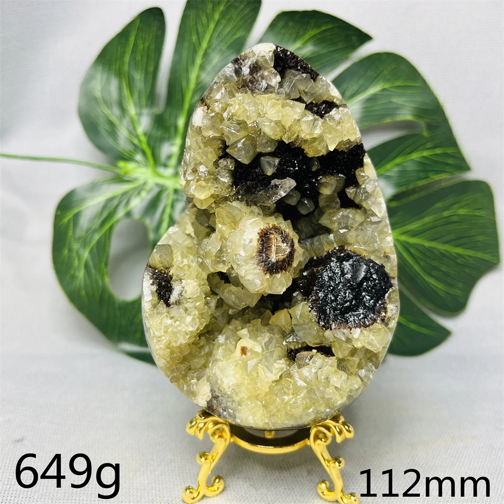 Natural Gemstone Septarium Turtle Stone Geode Original Mineral Specimen Home Room Decoration Witchcraft altar Prayer Spiritual
