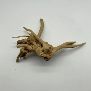 8ベストセールス水族館植物の重量-5