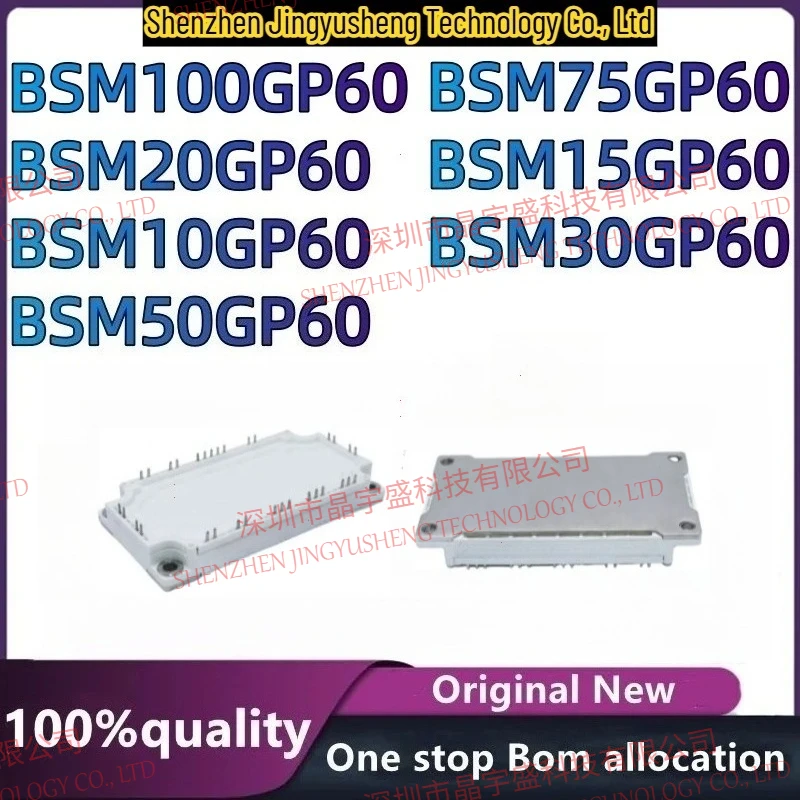 100% New Original BSM10GP60 BSM15GP60 BSM20GP60 BSM30GP60 BSM50GP60 BSM75GP60 BSM100GP60 Module in Stock