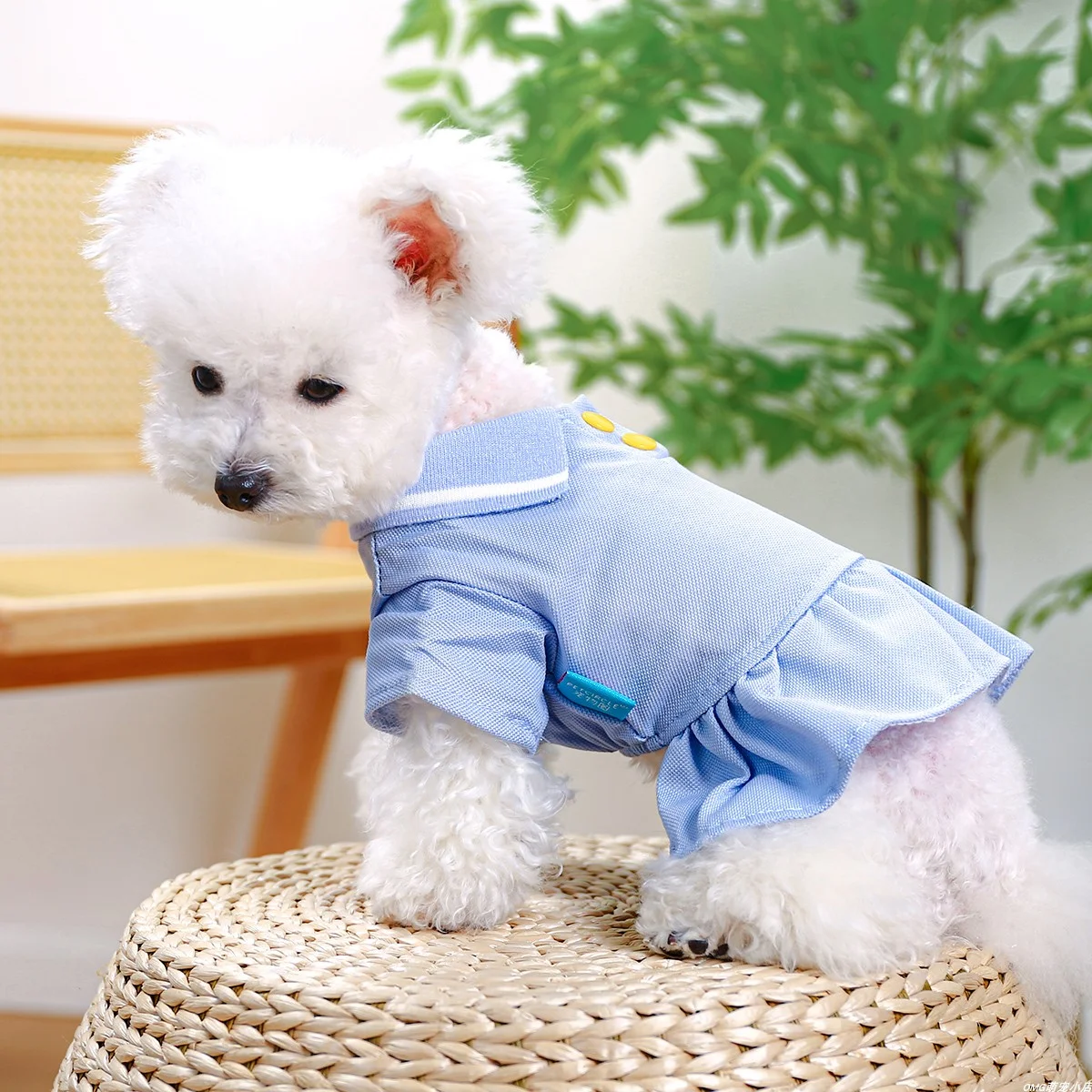 1PC Pet Clothing Dog Cat Spring/Summer Thin Hoodie Blue Polo Student Skirt Suitable for Small and Medium sized Dogs