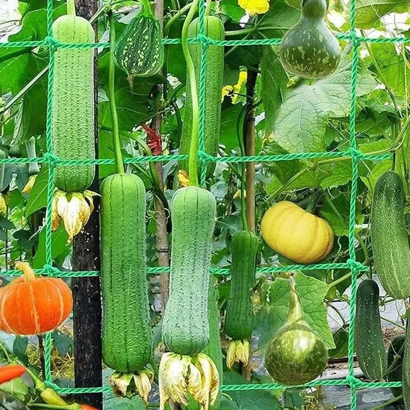 Heavy Duty Square Mesh Trellis Netting for Climbing Plants Garden Vegetable Support Cucumber Tomato Bean Loofah  Grape Vine