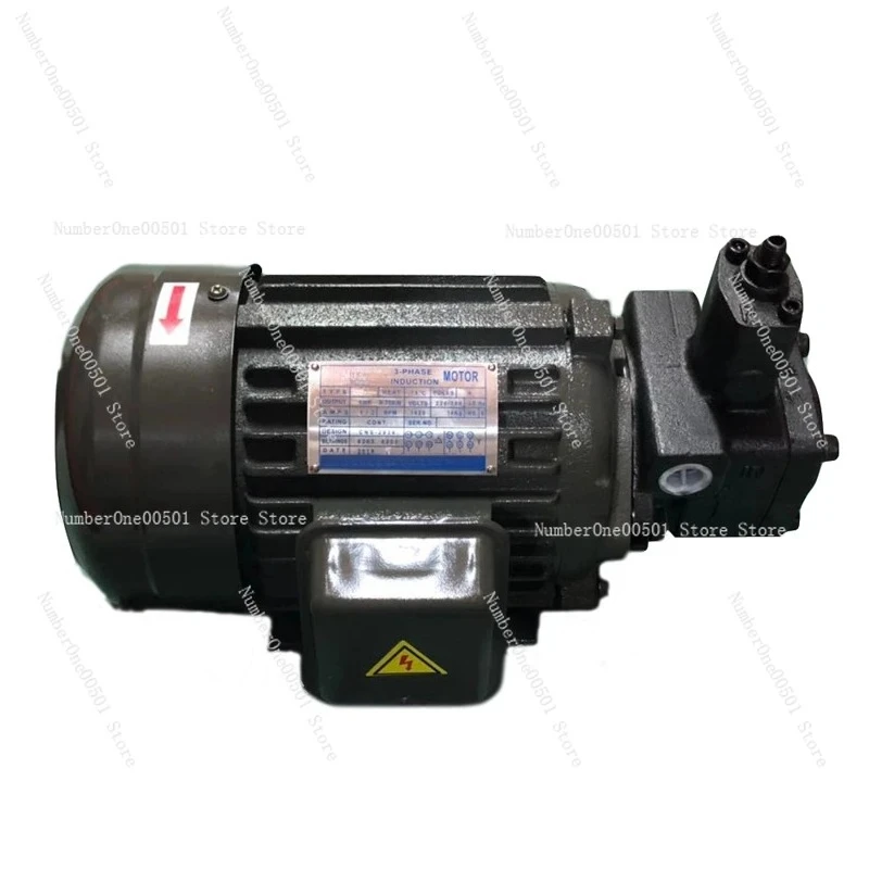 Hydraulic Oil Pump Motor Assembly VP20 + 0.75KW 1.5 Hydraulic Pump Assembly Inner Shaft Motor