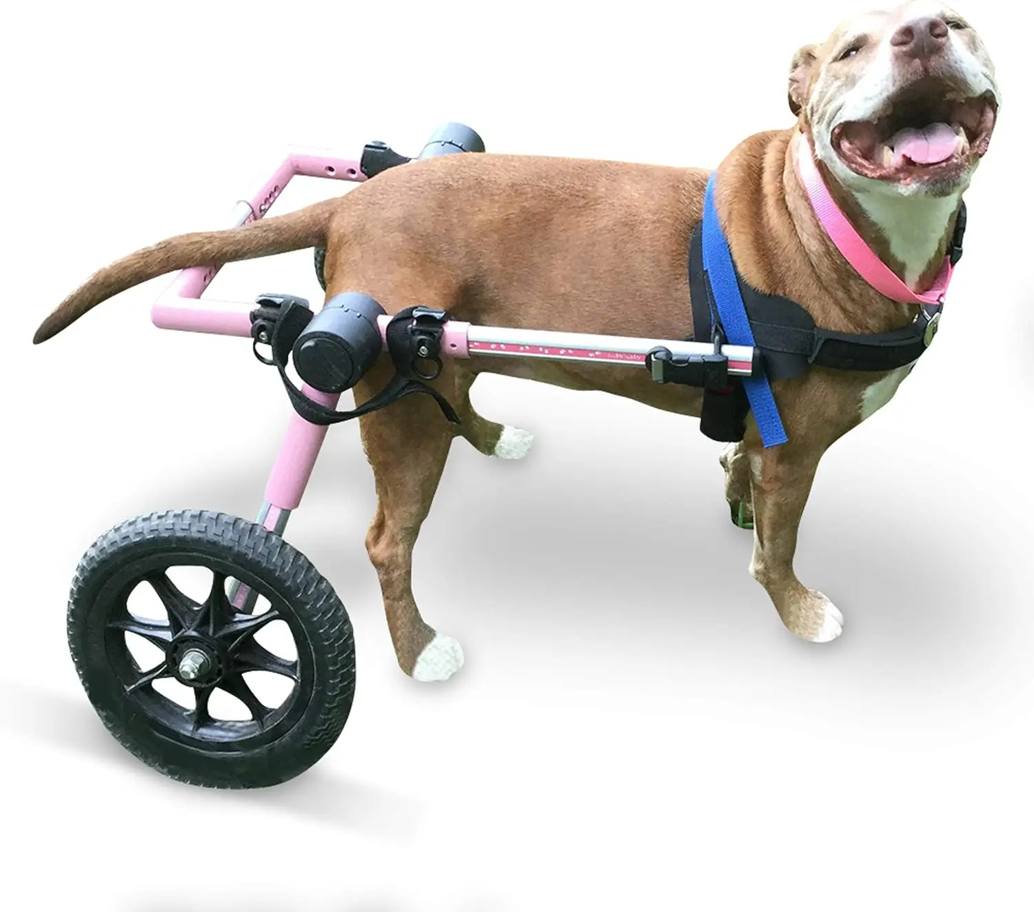 Walkin' Wheels Dog Wheelchair - for Med/Large Dogs 50-69 lbs - Veterinarian Approved - Dog Wheelchair for Back Legs