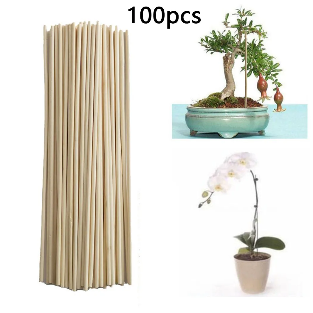 植物サポートスティック、トレリスステークスティック、ガーデニングツール、トムリッチ、耐久性、高品質、100個、20cm