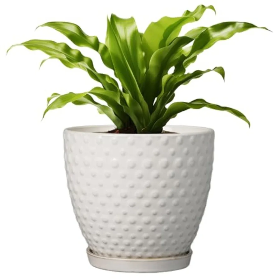Maceta Redonda de Cerámica para Plantas de Interior y Exterior con Orificio de Drenaje y Plato, Maceta Moderna Grande para Flores, Blanca