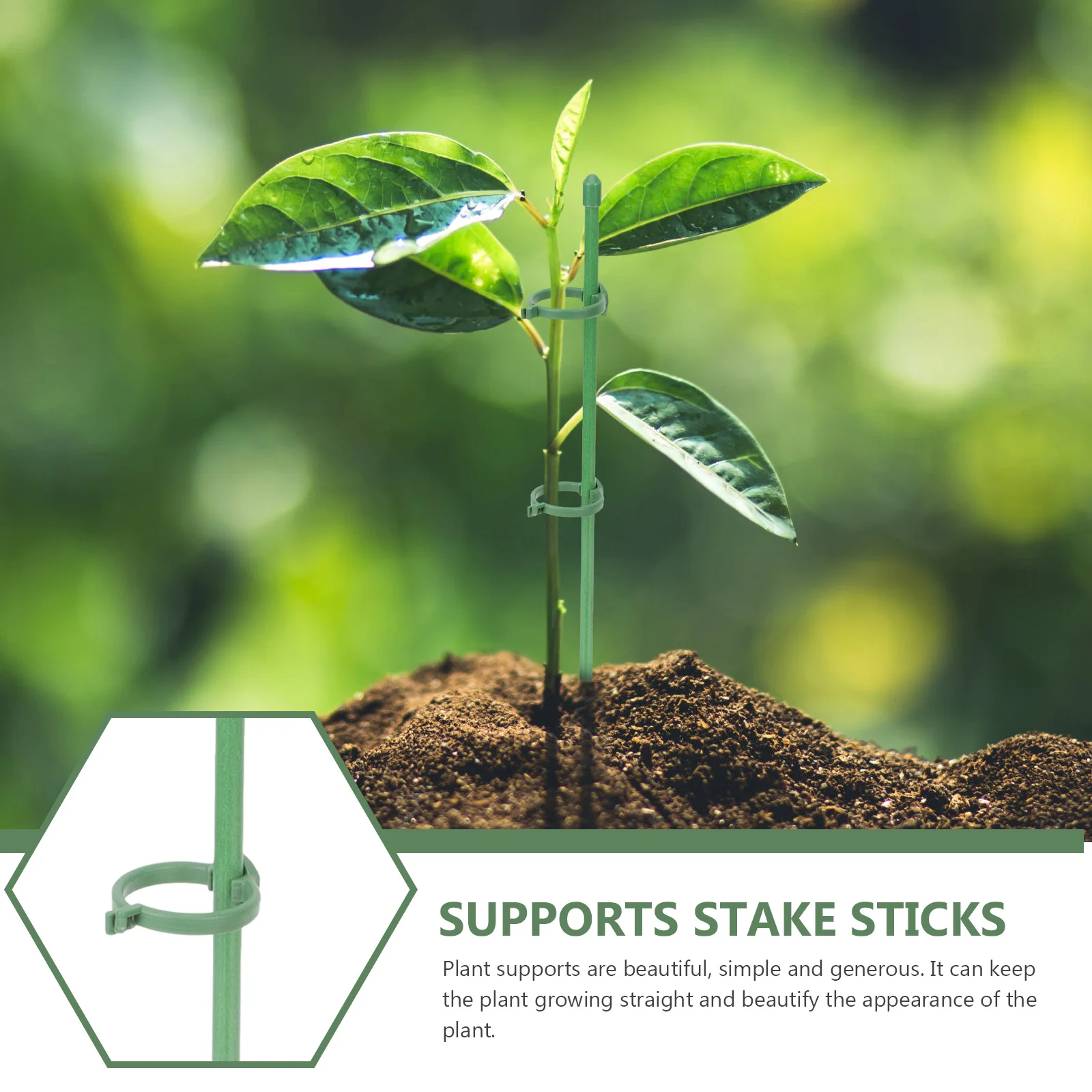 

10 Pcs Flower Stand Floral Orchid Support Rod Tomato Single Stemmed Fiberglass Garden Stake