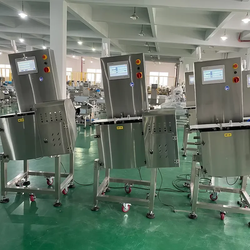 Hot Sale Industrial Weighing Machine for Packaged Products Automatic Inline Check Weigher Manufacturer