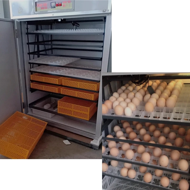 264-1056 Chicken Eggs Hatch Intelligent Next-generation Multi-purpose Incubation Equipment,egg Incubator and Hatcher