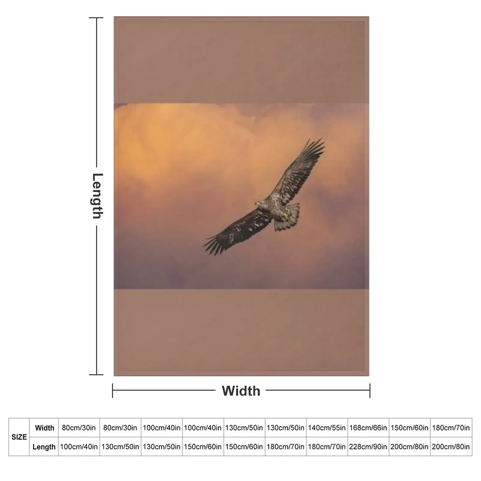 Juvenile Bald Eagle in Flight Throw Blanket Decorative Beds manga Kid'S Loose Beautifuls Flannel Fabric Blankets