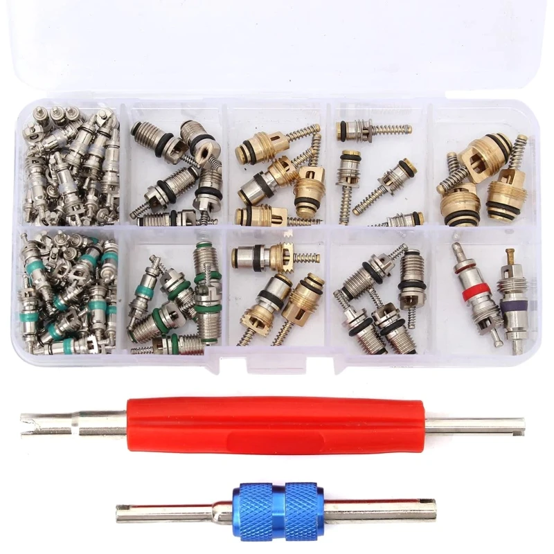 102 Pieces Car & Home R134A Car Valves for