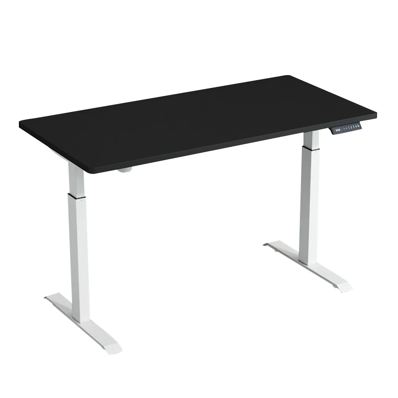 Metal Meeting Learning Electric Computer Height Adjustable Standing Desk