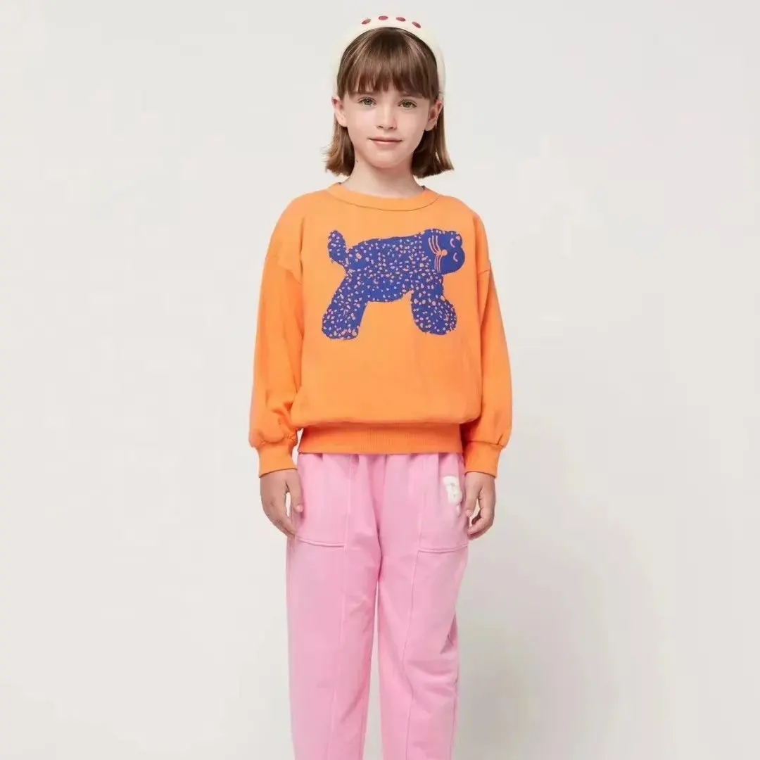 2026 Spring Kids Sweatshirts Long Sleeve Tops for Girls Cartoon Baby Boys Hoodies Terry Children Pullover Tees Clothing