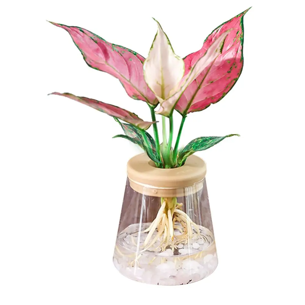 

pcs Imitation Glass for Indoor/Outdoor Transparent Aquatic Plant Garden Supplies Home Decor Flower Planter Hydroponic Flowerpot