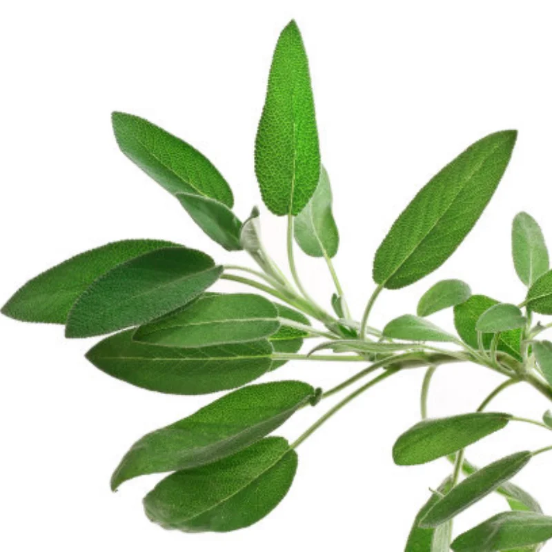 

MN Model MN82T LC79 MN82S MN82Pro MN82 RC Car Rear Linkage Rods Shock Absorber Spare Parts​