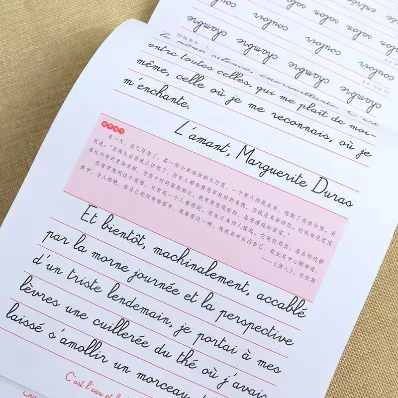 Learning French /Chinese Books Calligraphy Copybook Standard French Handwriting Copybook Practice Writing Art Libros
