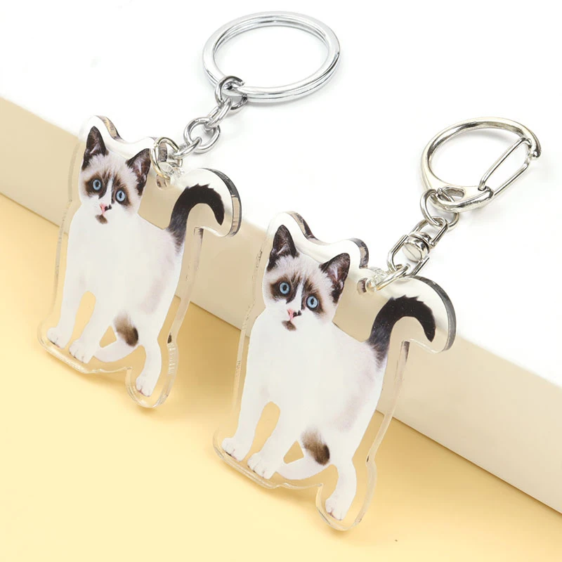 Lovely Cat Series Acrylic Keychain Bag Decoration Pendant For Men Women Pet Themed Key Ring Souvenirs Gifts For Cat Lovers