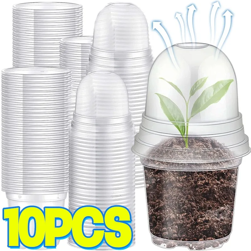#16 Compare Plant Pots Before You Buy