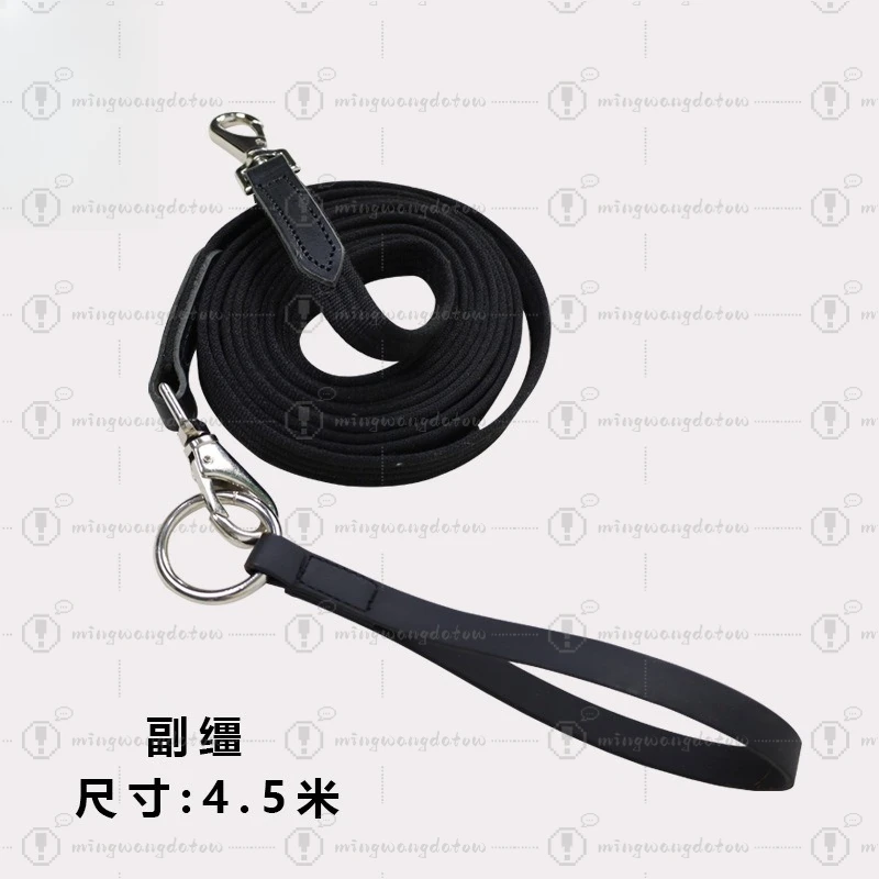 Leather Auxiliary Reins & Lead Rope, Horse Training Reins, Equestrian Tack
