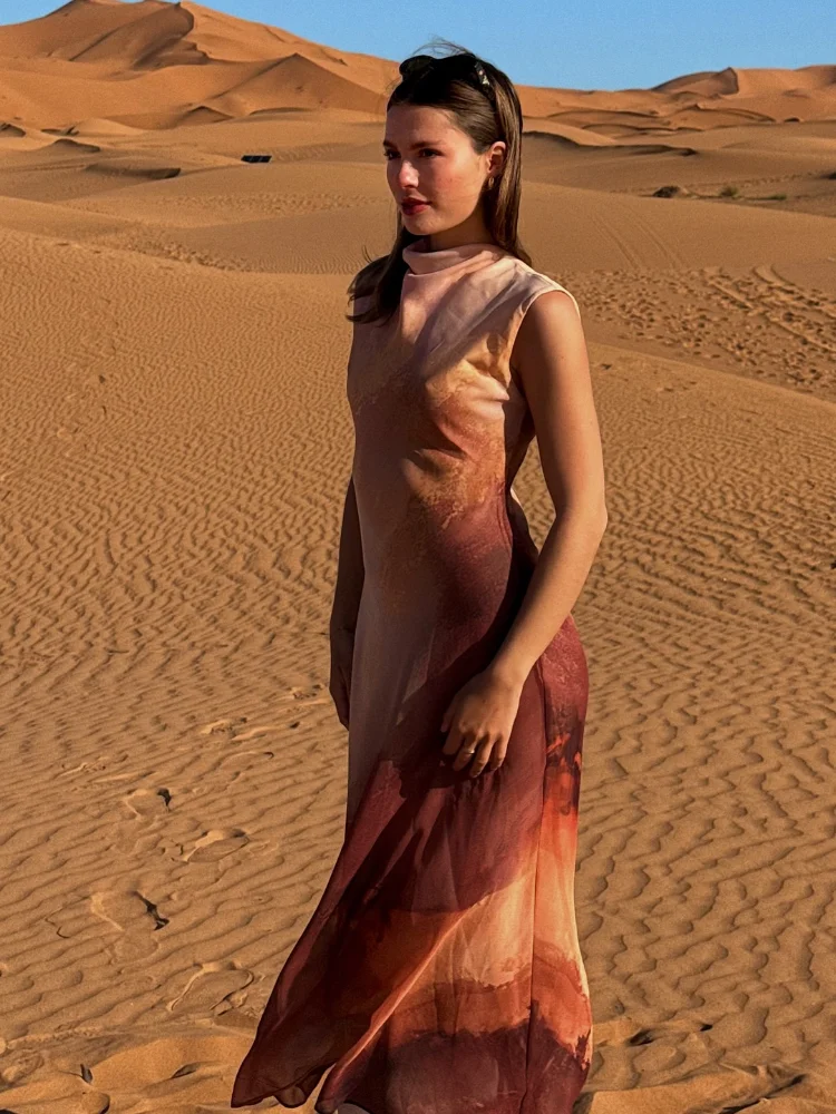 

Gradient Chiffon Printing Long Dress Elegant Sleeveless High Collar High Wasit Slim Fit Vestido 2025 New Summer Holiday Robes