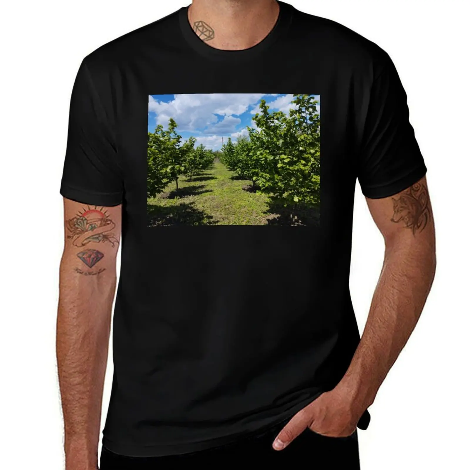 

Hazelnut orchard in spring, Dobrudzha, Bulgaria T-Shirt oversized t shirt vintage anime shirt oversized vintage t shirt men